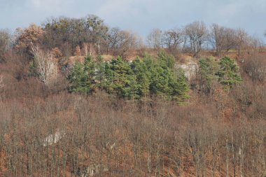 Rocky Dağları 'nın genel manzarası