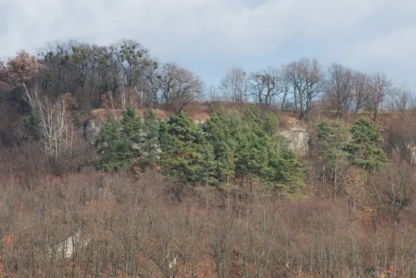 Vue Générale Des Montagnes Rocheuses — Photo