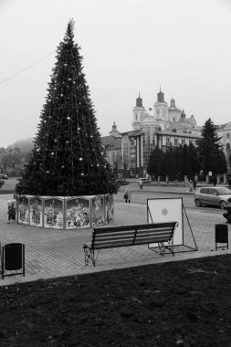 Eski kasabada Noel ağacı. Noel ağacı, eski kasaba.  