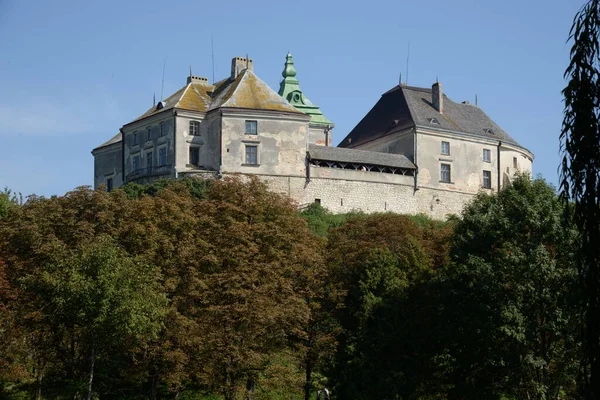 Vue Générale Château Olesko — Photo