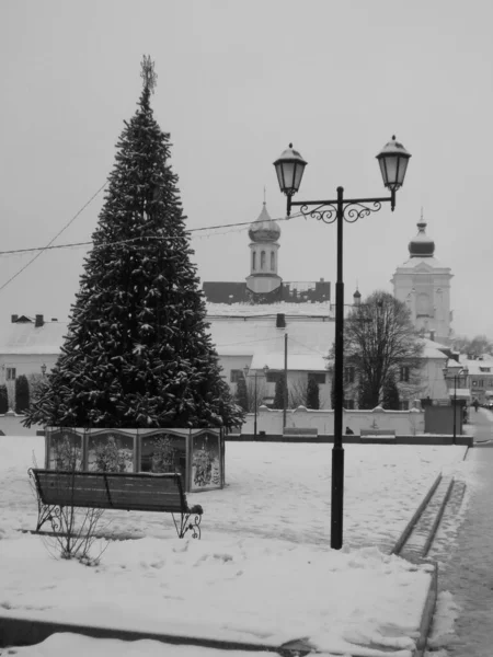 Nicholas Katedrali Fransisken Manastırı Noel Ağacı — Stok fotoğraf