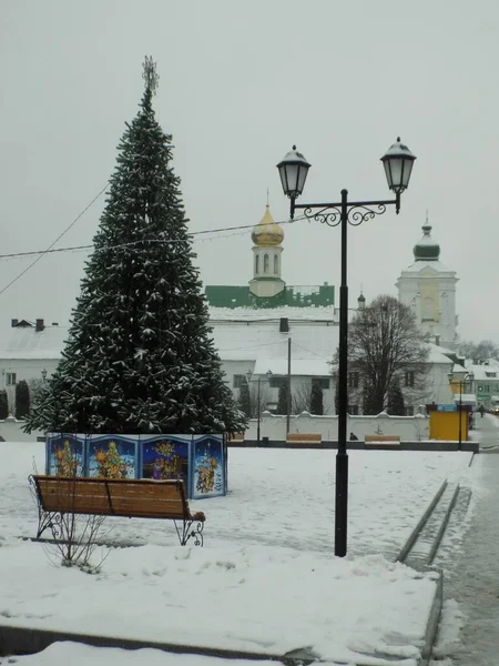 Святий Миколай Cathedral Franciscan Monastery Christmas Tree — стокове фото