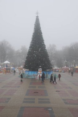Eski kasaba meydanındaki Noel ağacı. Noel ağacı, eski meydan, şehir, yapay, dallar, çelenkler, genel manzara, yeşil, mücevherler, iğneler, yeni yıl, oyuncaklar, ağaç, gövde.