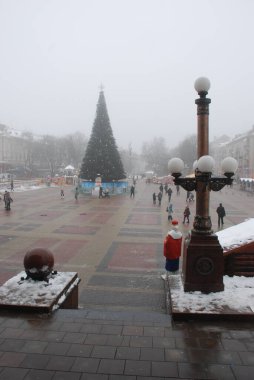 Eski kasaba meydanındaki Noel ağacı. Noel ağacı, eski meydan, şehir, yapay, dallar, çelenkler, genel manzara, yeşil, mücevherler, iğneler, yeni yıl, oyuncaklar, ağaç, gövde.
