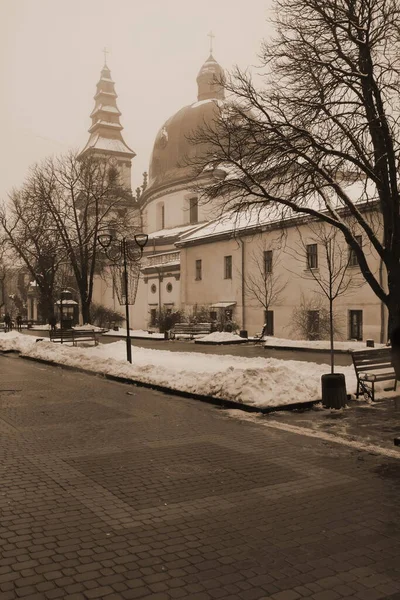 Aartsbisschoppelijke Kathedraal Van Onbevlekte Ontvangenis Van Heilige Maagd — Stockfoto