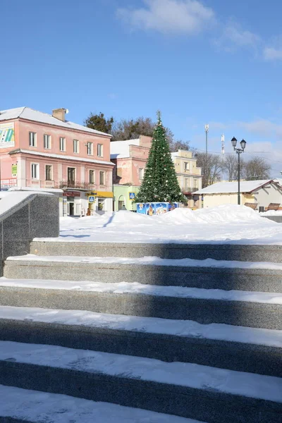 Eski kasabada Noel ağacı. Noel ağacı, eski kasaba. Noel ağacı.