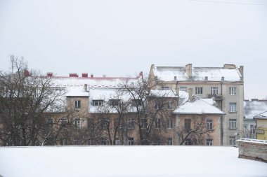 Eski kasaba meydanındaki Noel ağacı. Noel ağacı, eski meydan, şehir, yapay, dallar, çelenkler, genel manzara, yeşil, mücevherler, iğneler, yeni yıl, oyuncaklar, ağaç, gövde. 