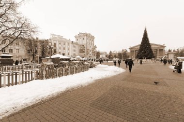 Eski kasaba meydanındaki Noel ağacı. Noel ağacı, eski meydan, şehir, yapay, dallar, çelenkler, genel manzara, yeşil, mücevherler, iğneler, yeni yıl, oyuncaklar, ağaç, gövde.