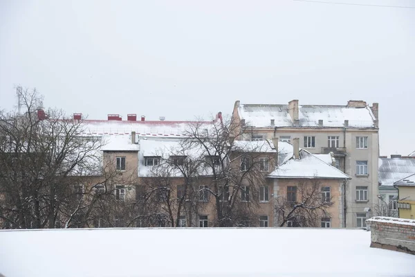 Eski kasaba meydanındaki Noel ağacı. Noel ağacı, eski meydan, şehir, yapay, dallar, çelenkler, genel manzara, yeşil, mücevherler, iğneler, yeni yıl, oyuncaklar, ağaç, gövde. 