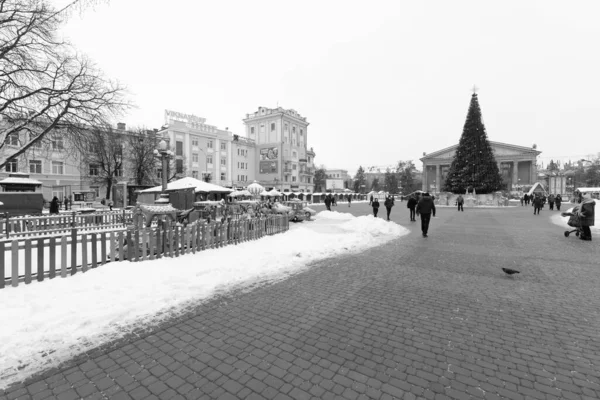  Eski kasaba meydanındaki Noel ağacı. Noel ağacı, eski meydan, şehir, yapay, dallar, çelenkler, genel manzara, yeşil, mücevherler, iğneler, yeni yıl, oyuncaklar, ağaç, gövde.