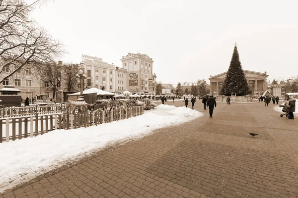 Eski kasaba meydanındaki Noel ağacı. Noel ağacı, eski meydan, şehir, yapay, dallar, çelenkler, genel manzara, yeşil, mücevherler, iğneler, yeni yıl, oyuncaklar, ağaç, gövde.
