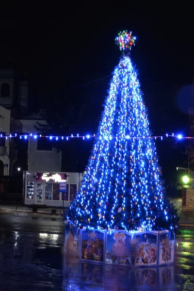 Árvore Natal Presépio Natal — Fotografia de Stock