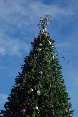 Uzun ince Noel ağacı