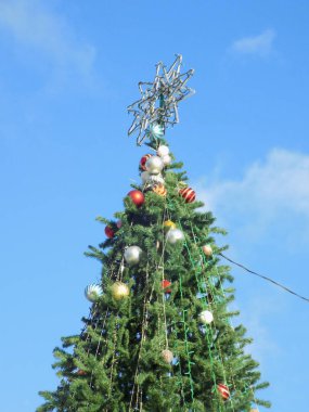 Uzun ince Noel ağacı