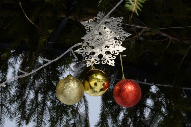 Noel, Noel ağacı, sokak süslemeleri