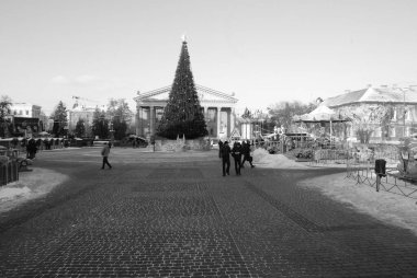  Eski kasaba meydanındaki Noel ağacı. Noel ağacı, eski meydan, şehir, yapay, dallar, çelenkler, genel manzara, yeşil, mücevherler, iğneler, yeni yıl, oyuncaklar, ağaç, gövde.