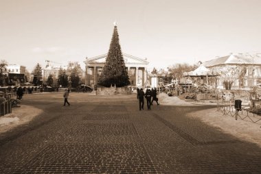  Eski kasaba meydanındaki Noel ağacı. Noel ağacı, eski meydan, şehir, yapay, dallar, çelenkler, genel manzara, yeşil, mücevherler, iğneler, yeni yıl, oyuncaklar, ağaç, gövde.