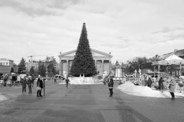 Eski kasaba meydanındaki Noel ağacı. Noel ağacı, eski meydan, şehir, yapay, dallar, çelenkler, genel manzara, yeşil, mücevherler, iğneler, yeni yıl, oyuncaklar, ağaç, gövde.