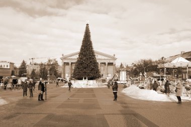 Eski kasaba meydanındaki Noel ağacı. Noel ağacı, eski meydan, şehir, yapay, dallar, çelenkler, genel manzara, yeşil, mücevherler, iğneler, yeni yıl, oyuncaklar, ağaç, gövde.
