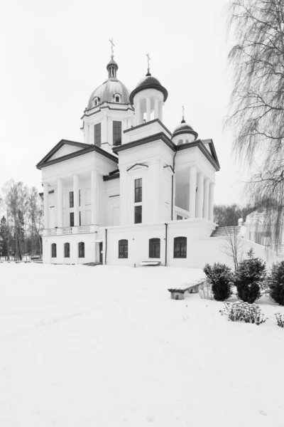 Новая Великая Церковь Свято Троицкий Духовный Центр — стоковое фото