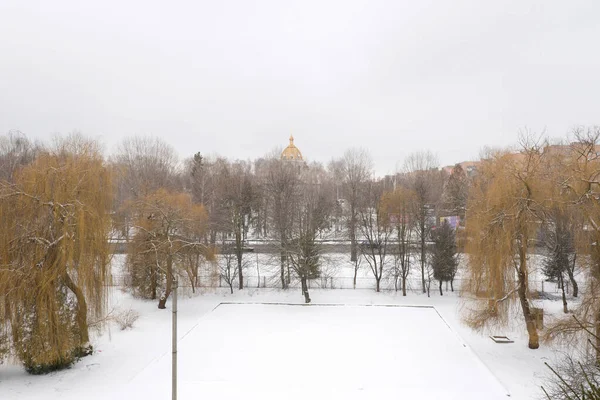 Old Winter Snowy Park — Stock Photo, Image