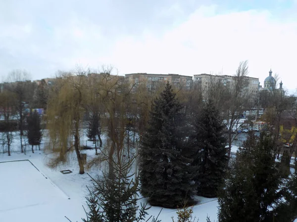 Pohled Okna Města Starý Zimní Zasněžený Park — Stock fotografie