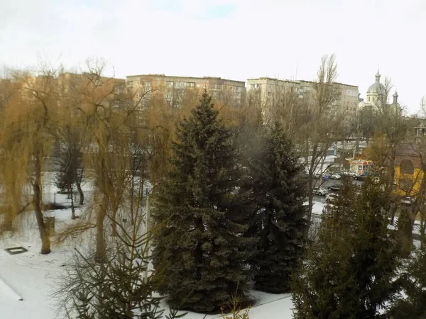 Вид Вікна Місто Старий Зимовий Засніжений Парк — стокове фото
