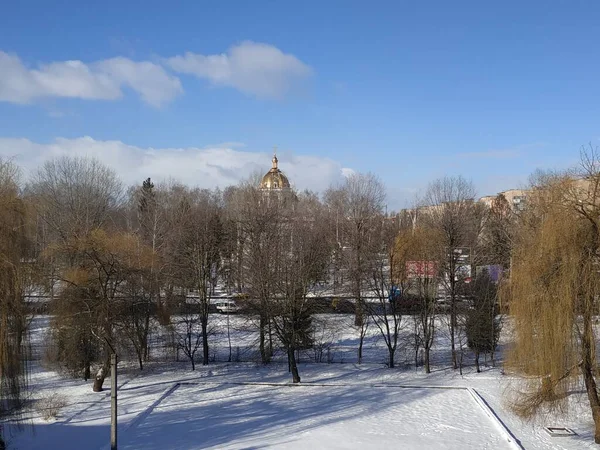 Alt Winter Verschneiter Park — Stockfoto