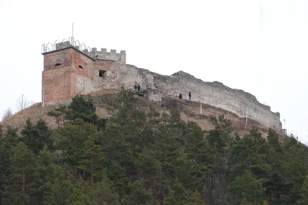 Загальний Вигляд Замковій Горі — стокове фото