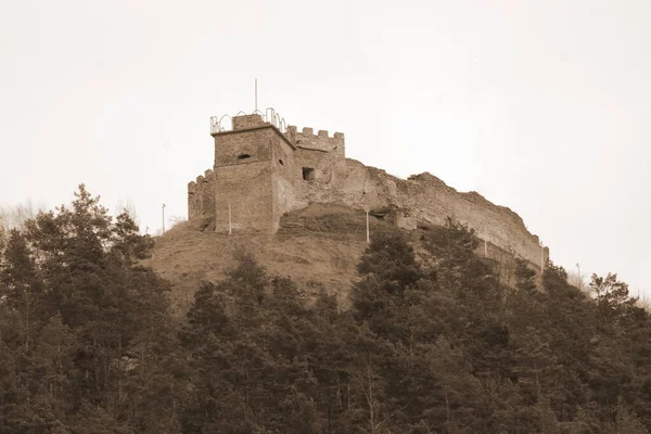 Vue Générale Colline Château — Photo