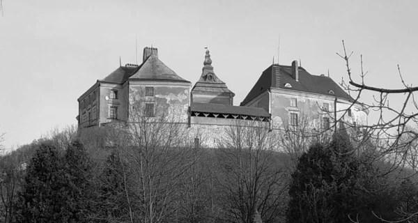 Vista Generale Olesko Castle — Foto Stock