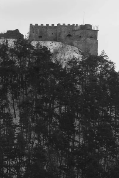 Vue Générale Colline Château — Photo