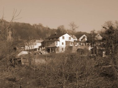 Bekarlık eski ormanda başlar.