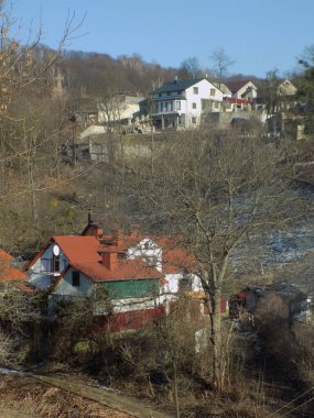 Bekarlık eski ormanda başlar.