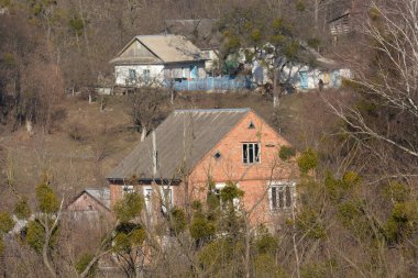 Bekarlık eski ormanda başlar.