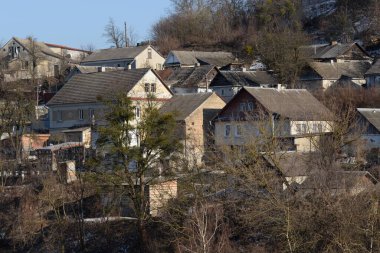 Bekarlık eski ormanda başlar.