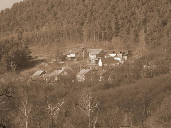 Wintertag Nadelwald Holzhaus Ukrainischen Dorf — Stockfoto