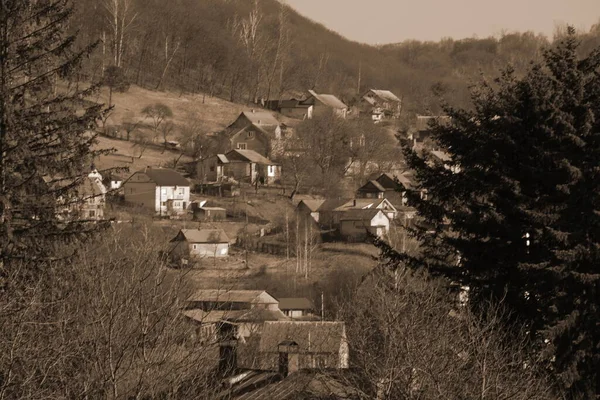 Wintertag Nadelwald Holzhaus Ukrainischen Dorf — Stockfoto