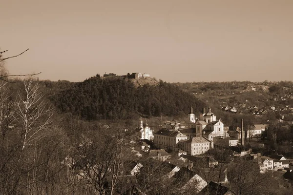 Weihnachtsbaum Der Altstadt Weihnachtsbaum Altstadt Nikolaikathedral Franziskanerkloster Blick Auf Den — Stockfoto