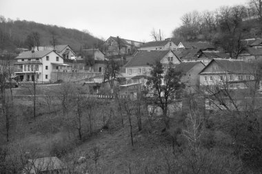 Kozalaklı ormanlarda kış günü. Ukrayna köyündeki ahşap ev.