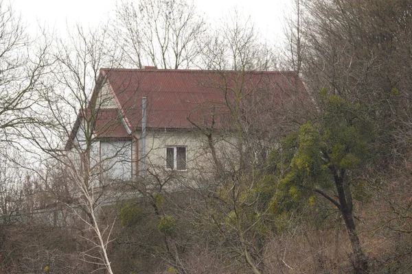 Wohnhaus Waldrand — Stockfoto