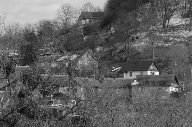 Kozalaklı ormanlarda kış günü. Ukrayna köyündeki ahşap ev.