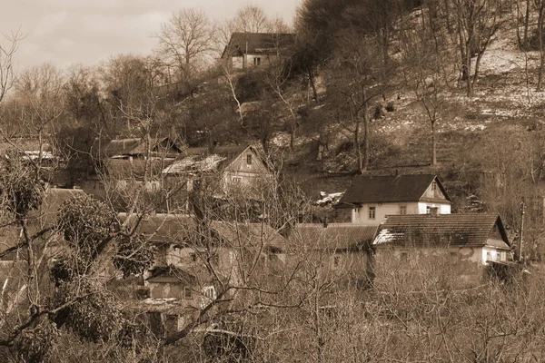 Wintertag Nadelwald Holzhaus Ukrainischen Dorf — Stockfoto