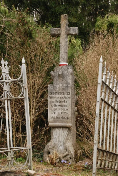 Tumba Antiguo Cementerio —  Fotos de Stock