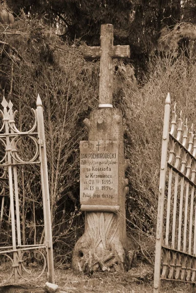 Grab Auf Dem Alten Friedhof — Stockfoto