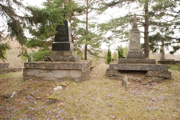 Старокатолическое Кладбище Общий Вид — стоковое фото