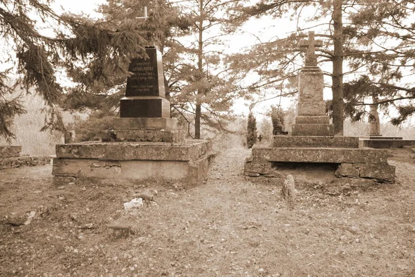 Starý Katolický Hřbitov Obecný Pohled — Stock fotografie