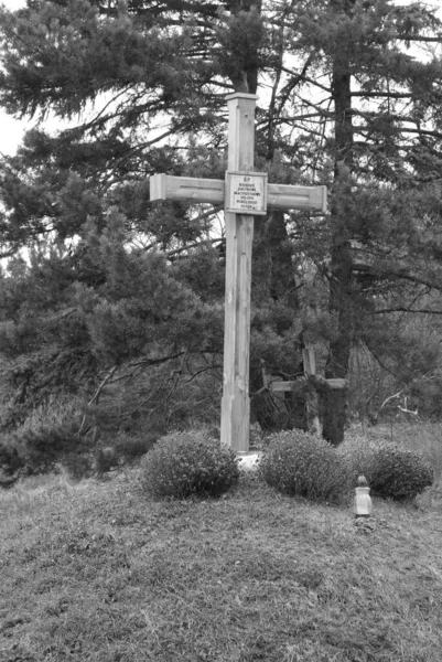 Деревянный Крест Краю Леса — стоковое фото
