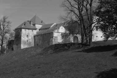 Mimari tipler Svirzh Kalesi. Eski kale.