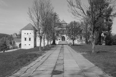 Mimari tipler Svirzh Kalesi. Eski kale.